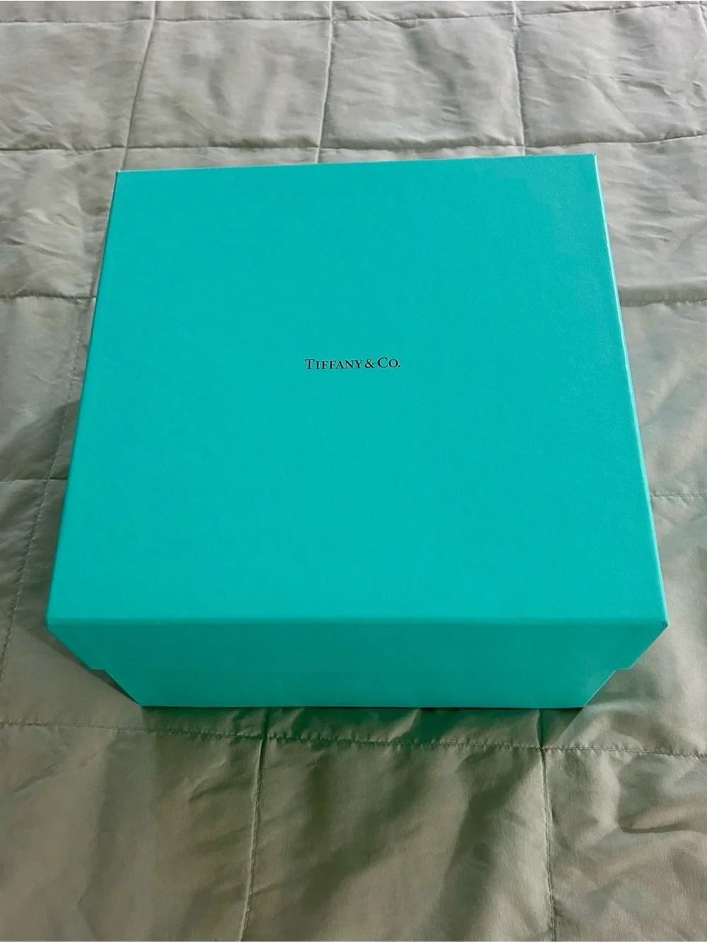 Tiffany & Co “Tiffany Chicks” 3-Piece Baby/Children’s Cup, Bowl & Plate Set *New